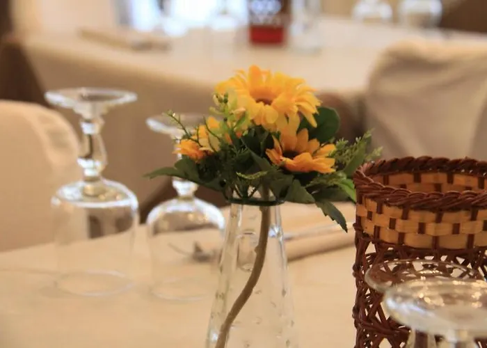 Bisanzio Hotel Cervia